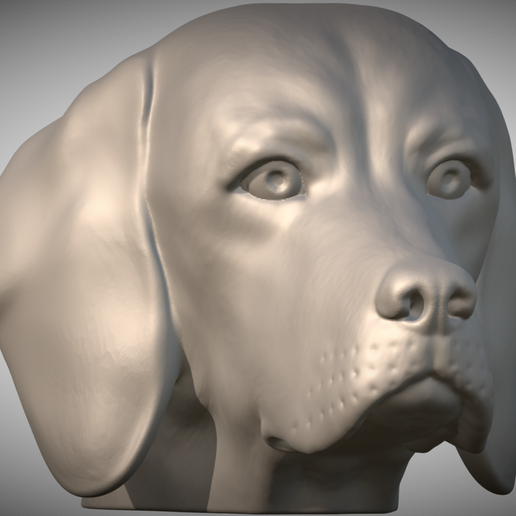 Beagle dog head for 3D printing 3D model