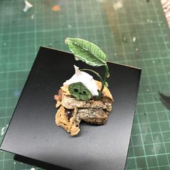 Korok chibi - The Legend of Zelda Tears of the Kingdom