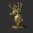 31.jpg White tailed deer bust