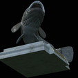 White-grouper-open-mouth-1-34.png fish white grouper / Epinephelus aeneus trophy statue detailed texture for 3d printing