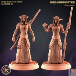 230223-24-NE-Druid-Female-Start.jpg 3D-Datei Niedriger Gang Nachtelf Weiblicher Druide ZWEI MODELLE・Design für den 3D-Druck zum Herunterladen