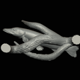 pike-high-quality-1-27.png big old pike underwater statue on the wall detailed texture for 3d printing