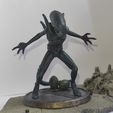 1744900265392.jpg Alien Xenomorph (3 poses Bundle)