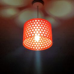 IMG20210718043123.jpg STL file IDEX Two Colour Hex Shade・Template to download and 3D print