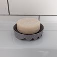 PXL_20220526_064413339.jpg SOAP02