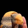 1000007787.jpg Armadillo - Articulated Cute