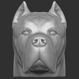 2.jpg Cane Corso dog head for 3D printing