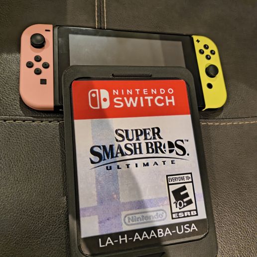 Giant Wall Mountable Nintendo Switch Cartridge