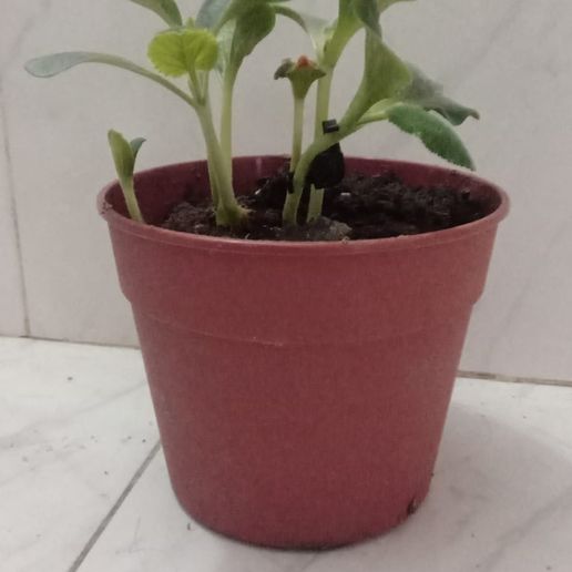 e3f81b7a-dd69-416d-bcf8-dcab51c47141.jpg lst