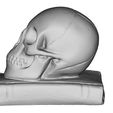 SkullOnBook3.jpg Crane sur Livre - Skull on Book