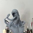 venom bust