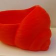 20260419_194105.jpg Shell Planter