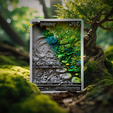 face_transition_0002.png 🍃Bulbasaur🍃 - 神奇宝贝 151 - 3D 卡