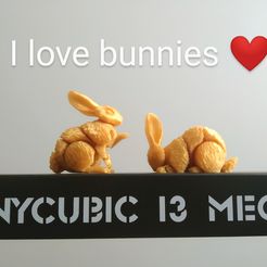 Bunny - Animal articulé Flexi (impression en place, pas de supports)