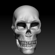 Capture1.png Detailed Human Skull,  PreSupported