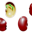 Bean_Render_2.png Anatomia di un seme di fagiolo