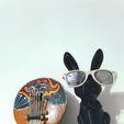 20230703_144831.jpg Hase trägt Brille