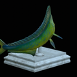 mahi-mahi-model-1-8.png fish mahi mahi / common dolphin trophy statue detailed texture for 3d printing