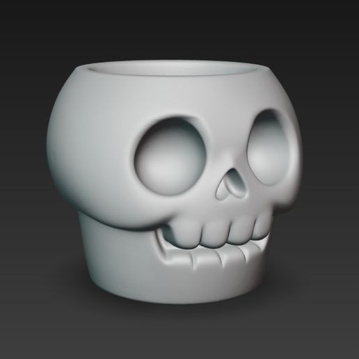 WhatsApp-Image-2025-10-17-at-11.13.43.jpeg skull pot