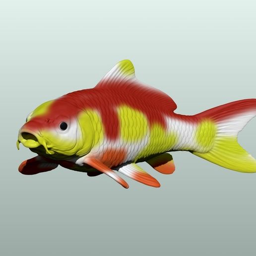 2.jpg Koi Fisch 3D Modell