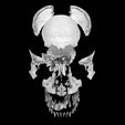 wf4.jpg skull labelled anatomy text detailed 3D