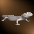 b2.jpg Leopard Gecko Realistic Pet Reptile Lizard