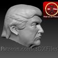 Cults4.jpg Donald Trump - Hot Toys Head Sculpt - Action figure onesixth