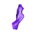 Pubis_Left_part_01.OBJ OBJ file Life size baby T-rex skeleton - Part 02/10・Model to download and 3D print