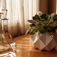 20210211_222120.jpg Fichier 3MF Pot de fleurs géométrique en origami・Design imprimable en 3D à télécharger