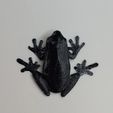 2.jpg Low Poly Frog Fridge Magnet