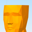 Capture d’écran 2021-01-28 150611.png Fichier STL Pot de fleur visage・Objet pour imprimante 3D à télécharger, benjamin-brassart
