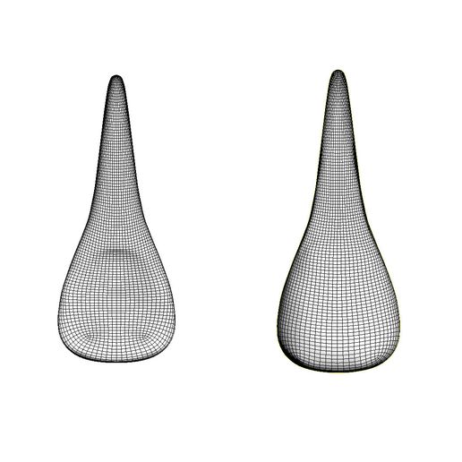 in3.jpg tooth incisor