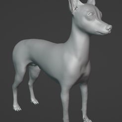 p-peruano-1.png STL file Peruvian or Chinese Dog v1.0・Design to download and 3D print