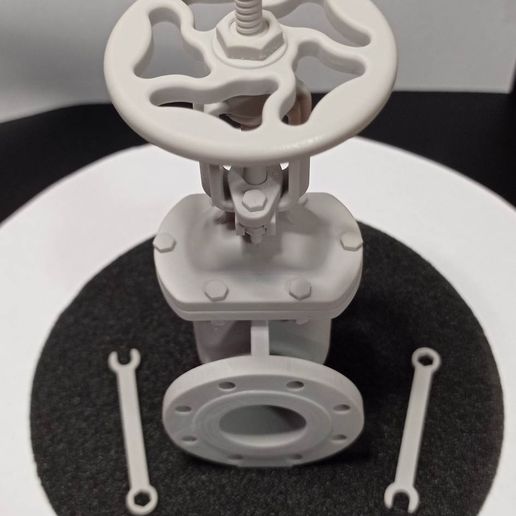 2.jpg Válvula de gaveta Wicon