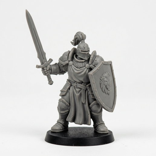 Paladin – Fantasy RPG Hero Miniature (32 mm)