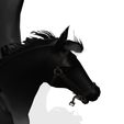 000WWT.jpg HORSE - PEGASUS HORSE - COLLECTION - DOWNLOAD Pegasus horse 3d model - animated for blender-fbx-unity-maya-unreal-c4d-3ds max - 3D printing HORSE HORSE PEGASUS