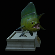 mahi-mahi-mouth-statue-8.png fish mahi mahi / common dolphin fish open mouth statue detailed texture for 3d printing