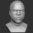 12.jpg Ice Cube bust 3D printing ready stl obj formats