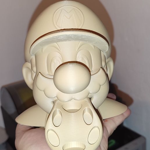 IMG_20241026_215135.jpg Busto Educativo de Mario