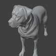 rottfsp.png Rottweiler