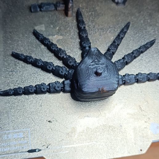 1000200204.jpg Oktopus-Bulle