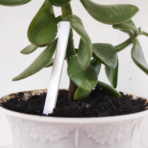 Stake plant support - 3D model önizlemesi