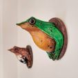 Ranita_de_Darwin_01.jpg STL file Darwin wall frog・3D printable design to download