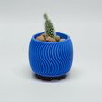 DSC_0237.jpg Wave - small pot for cactus