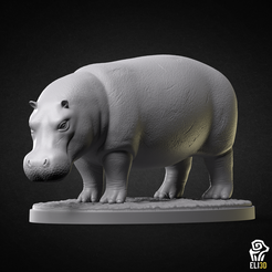 hippo2.png Hippo