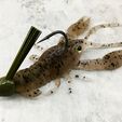 Crayfish3.jpg Crayfish Fishing Lure Open Pour Mold