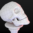 Skull-table2_Wire0040.png Human Skull Low Poly