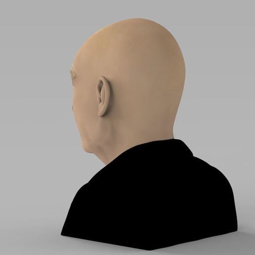 professor-x-charles-xavier-bust-ready-for-full-color-3d-printing-3d-model-obj-mtl-fbx-stl-wrl-wrz-4.jpg Professor X Charles Xavier from X-Men bust full color 3D printing