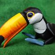IMG_20240127_153805766_MP.jpg Toucan  Articulated Figure