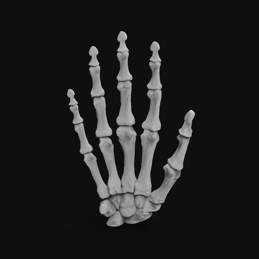 skeleton-hand-3d-model-obj-fbx-stl-5.jpg Skeleton Hand